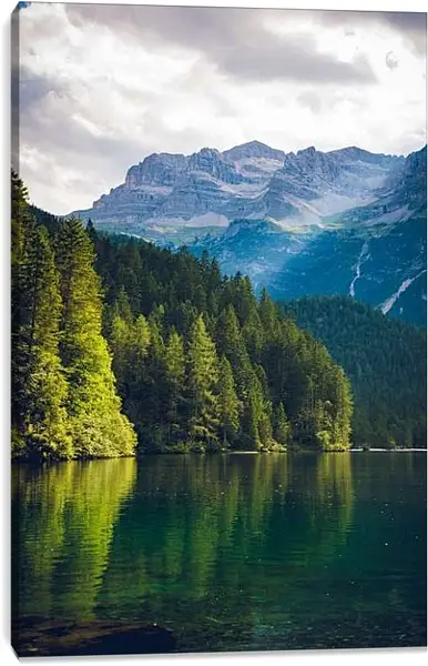 Постер на подрамнике - Лес возле водоёма и горы