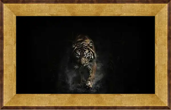 Картина в раме - Взрослый коричневый тигр. Тигр. Животные