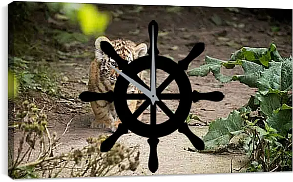 Часы картина - Коричневый тигренок. Тигр