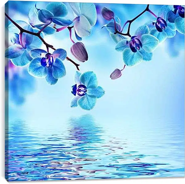 Постер на подрамнике - Голубая орхидея над водой