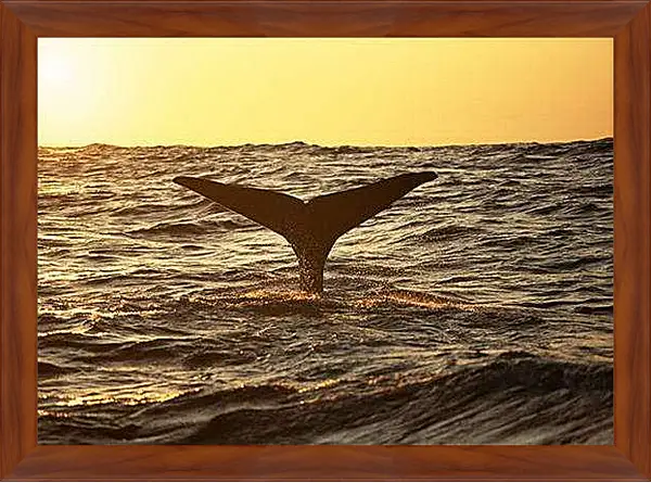 Картина в раме - Киты