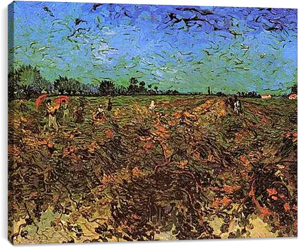 Постер на подрамнике - The Green Vineyard. Винсент Ван Гог