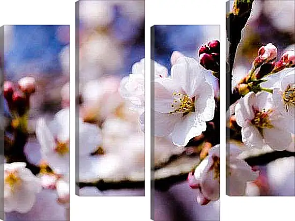 Модульная картина - Яблоня в цвету