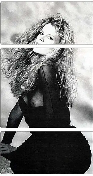 Модульная картина - Ким Бейсингер. Kim Basinger