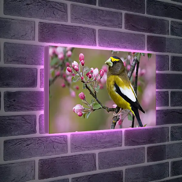 Лайтбокс световая панель - Весна