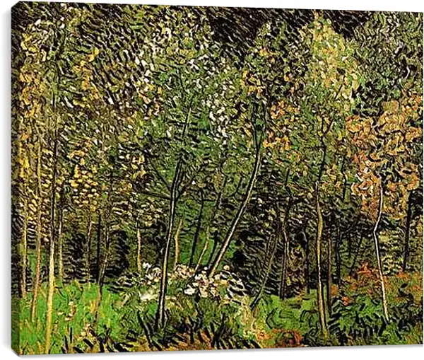 Постер на подрамнике - Роща. Винсент Ван Гог