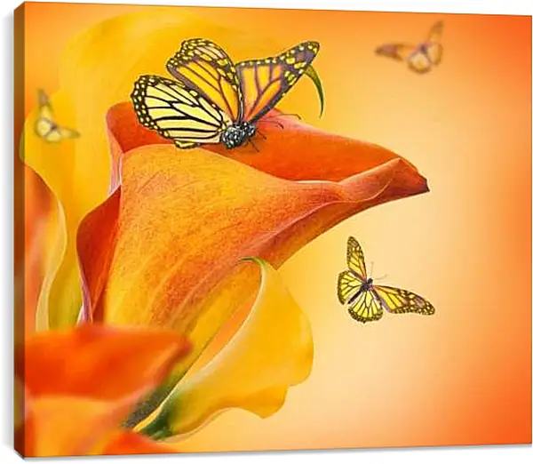 Постер на подрамнике - Бабочка опыляет цветок