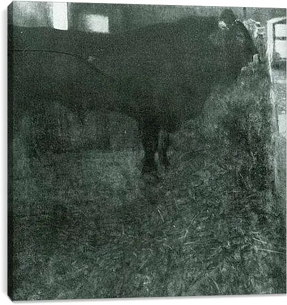 Постер на подрамнике - Der schwarze Stier. Густав Климт