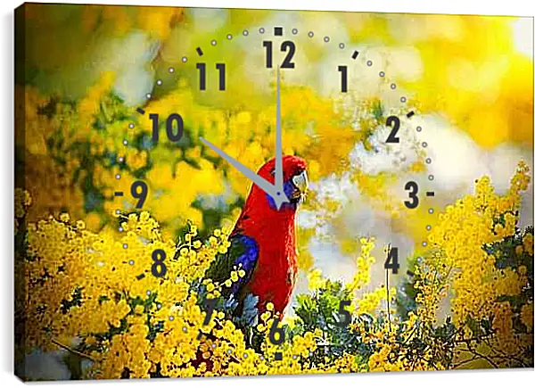 Часы картина - Попугай в цветочках