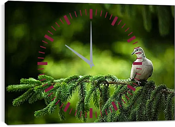 Часы картина - Голубь