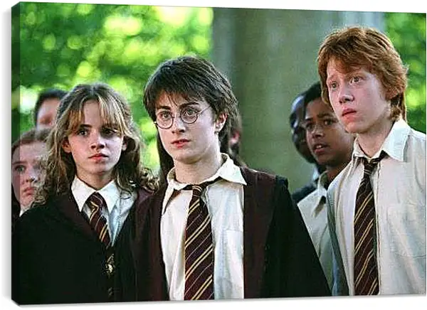 Постер на подрамнике - Гарри с друзьями