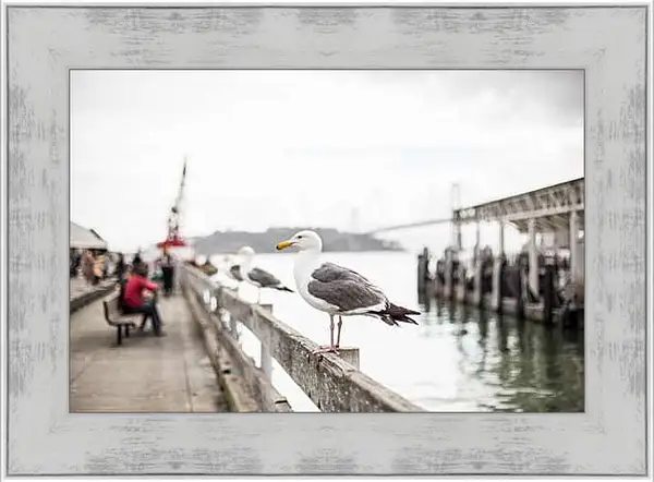 Картина в раме - Чайки