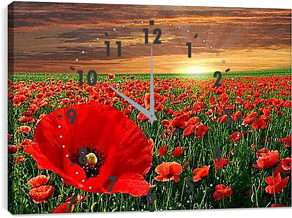 Часы картина - маки
