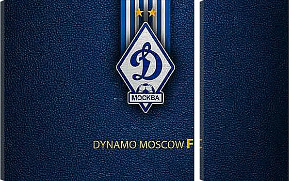 Модульная картина - Эмблема ФК Динамо Москва