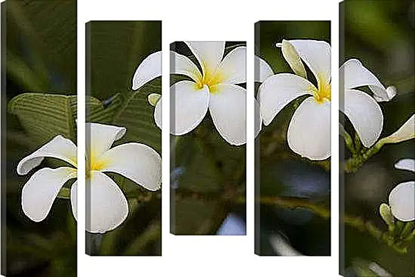 Модульная картина - Цветы