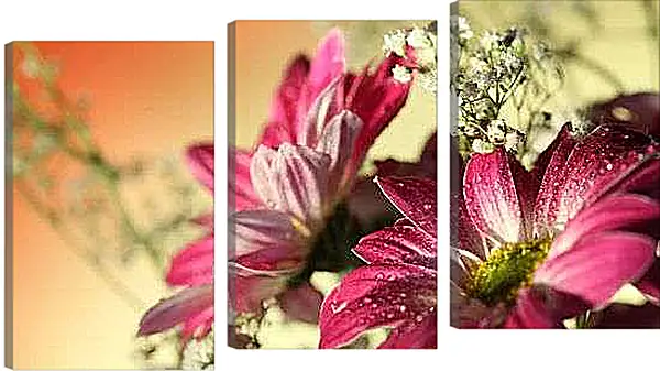 Модульная картина - Красная гербера