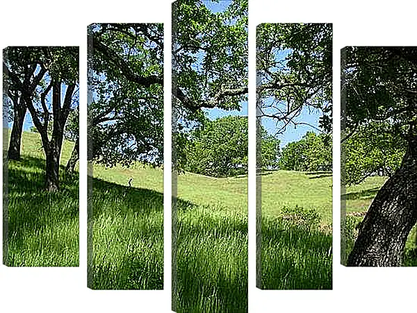 Модульная картина - Поляна