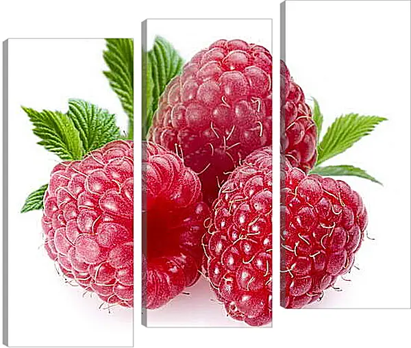 Модульная картина - Малина