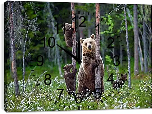 Часы картина - Медведица и три медвежонка