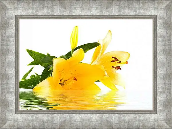 Картина в раме - Желтая лилия на воде