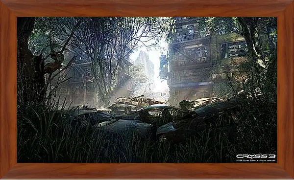 Картина в раме - Crysis 3