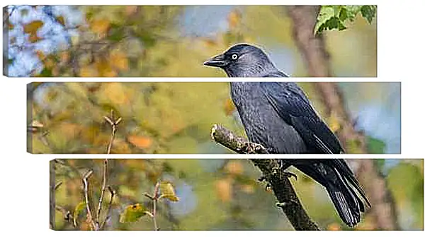 Модульная картина - Чёрный ворон на ветке