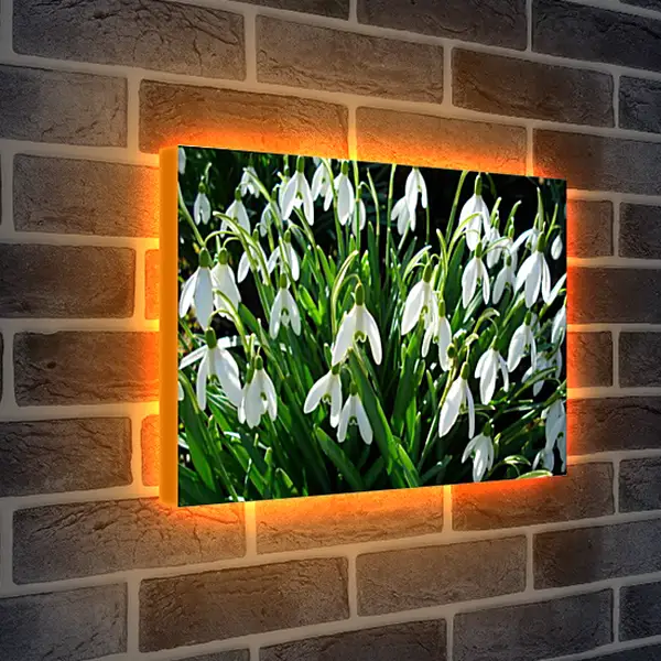 Лайтбокс световая панель - Весна