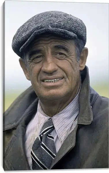 Постер на подрамнике - Жан-Поль Бельмондо. Jean-Paul Belmondo