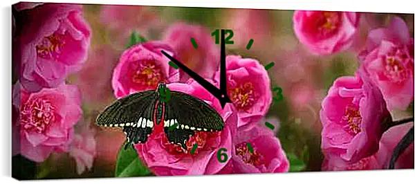 Часы картина - Красивая бабочка