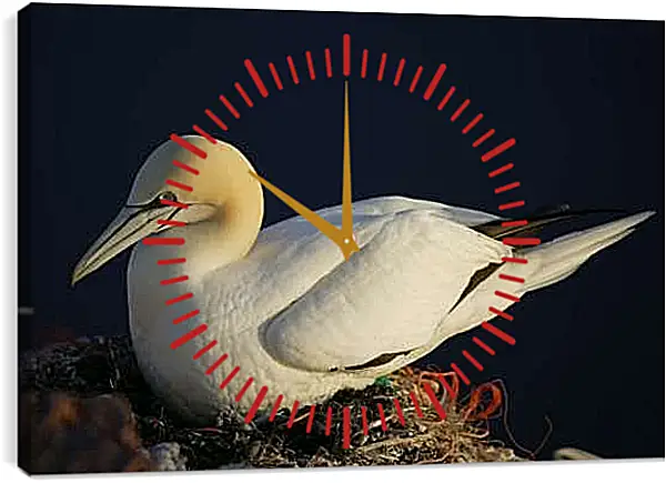 Часы картина - Чайка