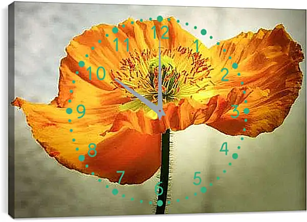 Часы картина - ЖелтыЙ мак