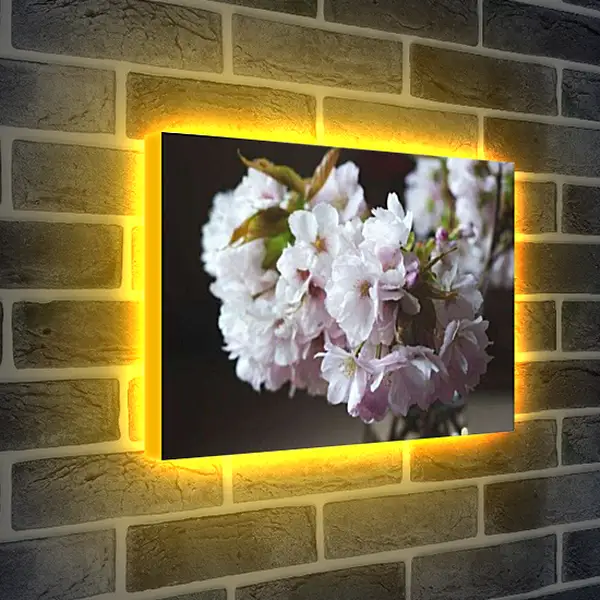 Лайтбокс световая панель - Цветы сакуры