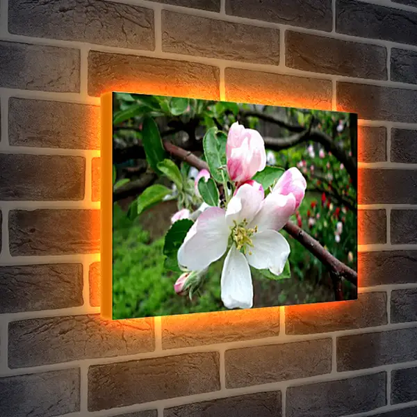 Лайтбокс световая панель - Весна