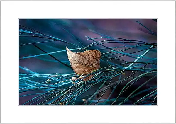 Картина в раме - Осень