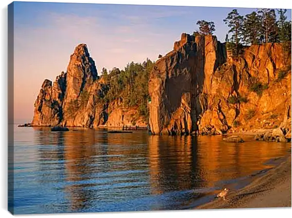 Постер на подрамнике - Чайка на берегу озера. Байкал