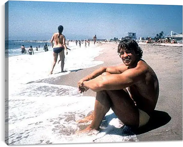 Постер на подрамнике - Арнольд Шварценеггер (Arnold Schwarzenegger)