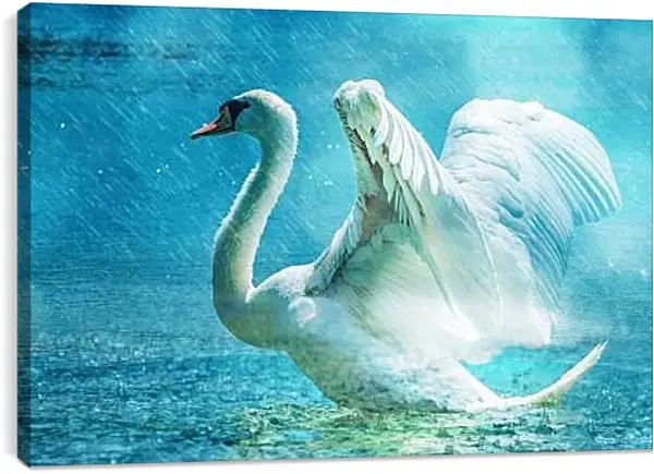 Постер на подрамнике - Лебедь под дождём