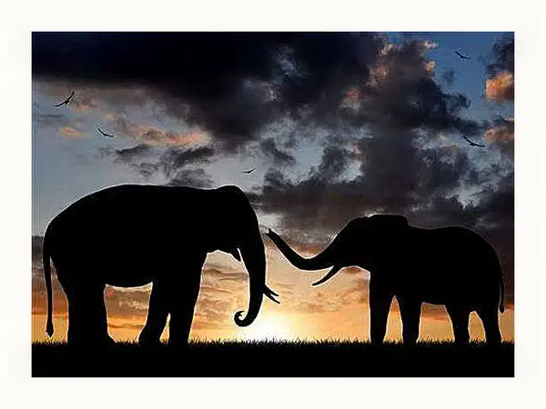 Картина в раме - Африка