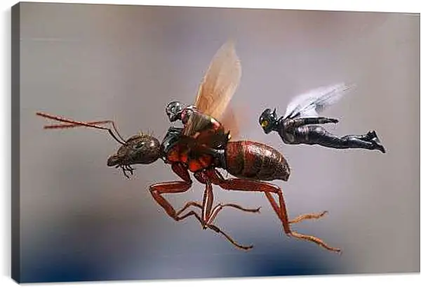 Постер на подрамнике - Человек Муравей и Оса