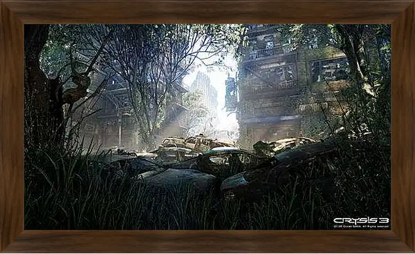Картина в раме - Crysis 3