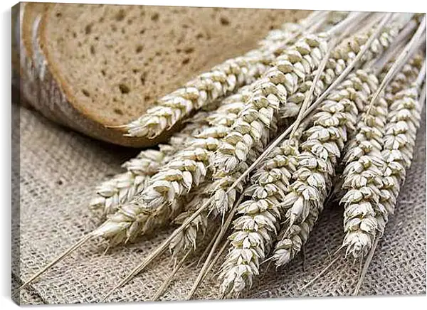 Постер на подрамнике - Злаки и хлеб. Хлеб на столе.