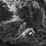 Ян Вейнантс