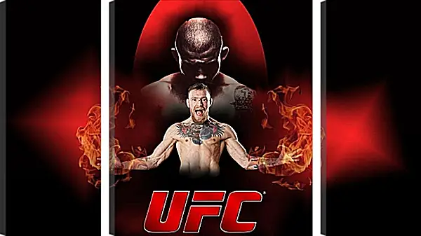 Модульная картина - UFC. Конор МакГрегор Модульная картина - UFC. Конор МакГрегор