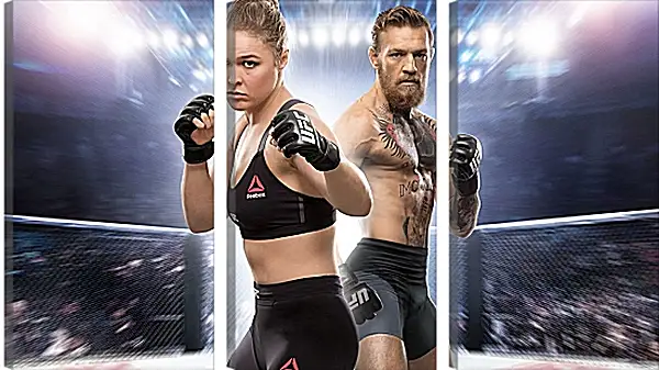 Модульная картина - UFC. Ронда Роузи и Конор МакГрегор Модульная картина - UFC. Ронда Роузи и Конор МакГрегор