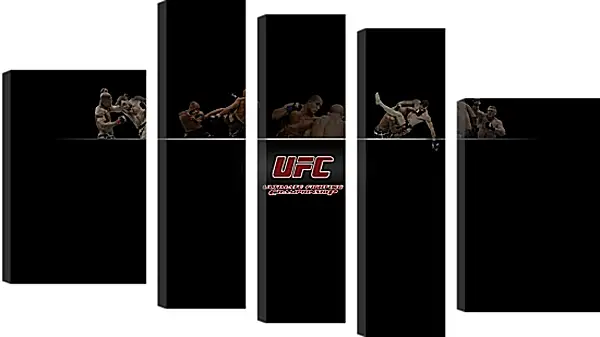 Модульная картина - UFC. Модульная картина - UFC.