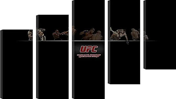 Модульная картина - UFC. Модульная картина - UFC.