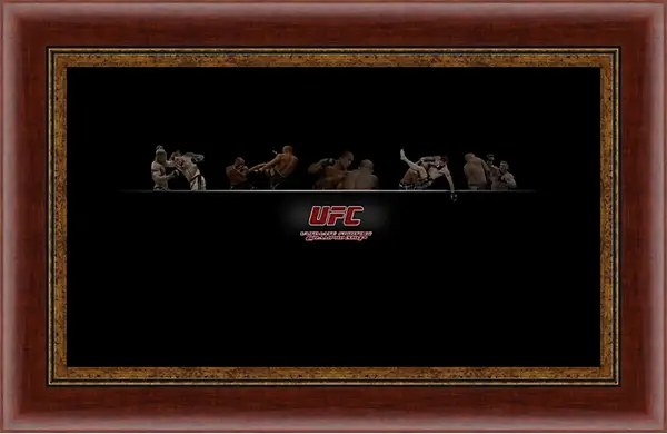 Картина в раме - UFC. Картина в раме - UFC.