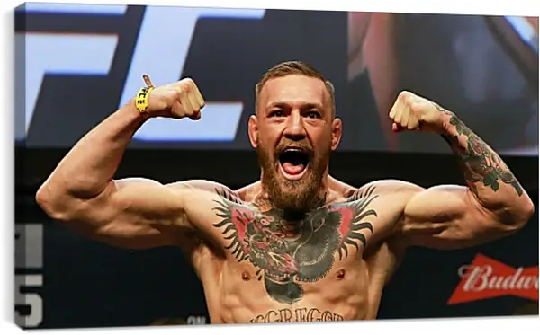 Постер на подрамнике - UFC. MMA. Конор МакГрегор демонстрирует мышцы. Постер на подрамнике - UFC. MMA. Конор МакГрегор демонстрирует мышцы.