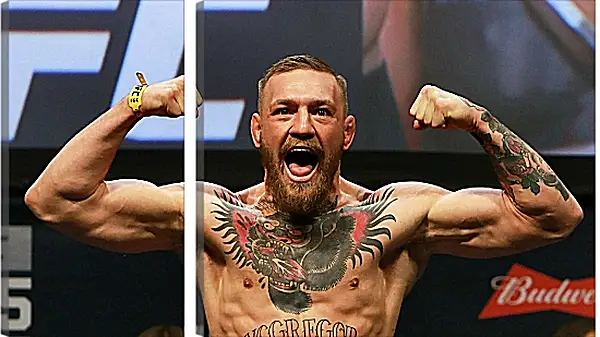 Модульная картина - UFC. MMA. Конор МакГрегор демонстрирует мышцы. Модульная картина - UFC. MMA. Конор МакГрегор демонстрирует мышцы.