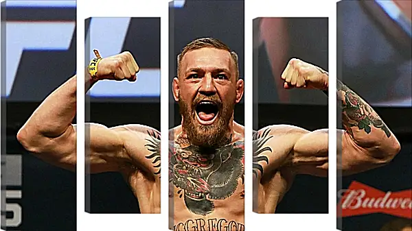 Модульная картина - UFC. MMA. Конор МакГрегор демонстрирует мышцы. Модульная картина - UFC. MMA. Конор МакГрегор демонстрирует мышцы.